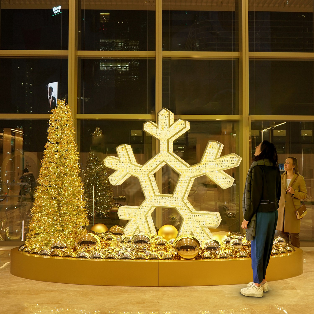 Flocon illuminé "Springfield" - led blanc chaud - 120 x 125 x 10 cm - 24V