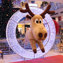 Anneau lumineux "Waterloo" - leds blanches - 235 x 200 x 30 cm - 24V