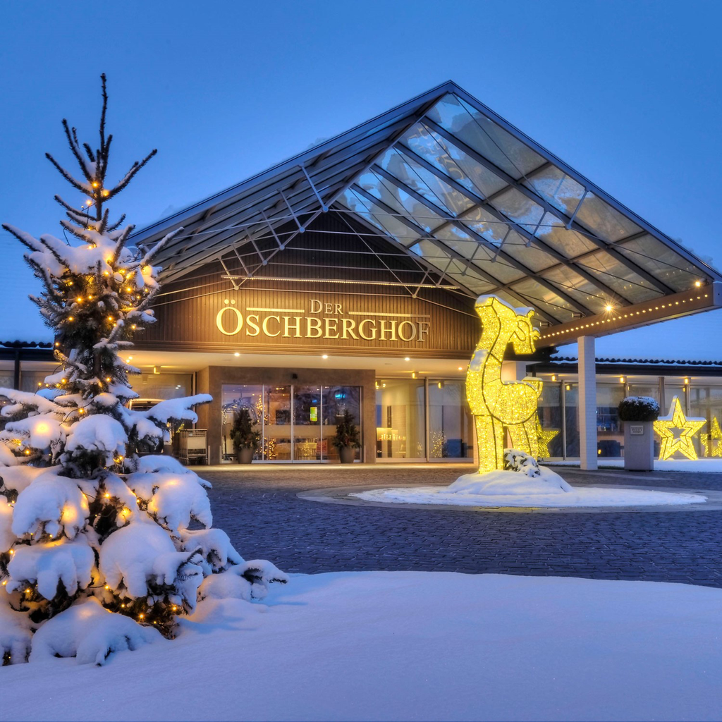 Renne lumineux "Waterloo" - leds blanc chaud - 300 x 160 x 35 cm - 24V