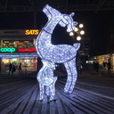 Renne lumineux "Waterloo" - leds blanches - 300 x 160 x 35 cm - 24V