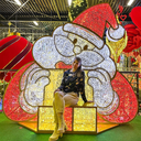 Père-Noël illuminé "Waco" - leds blanc, blanc chaud et rouge - 235 x 255 x 65 cm - 24V