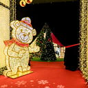 Ourson illuminé " Kilkenny " – leds blanc, blanc chaud et rouge – 255 x 195 x 25 cm -24V