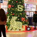 Ours illuminé "Bearwood" - leds blanc chaud - 135 x 155 cm - 24V