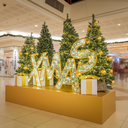 Motif illuminé XMAS "Moa" - leds blanc chaud - 130 x 250 cm - 24V