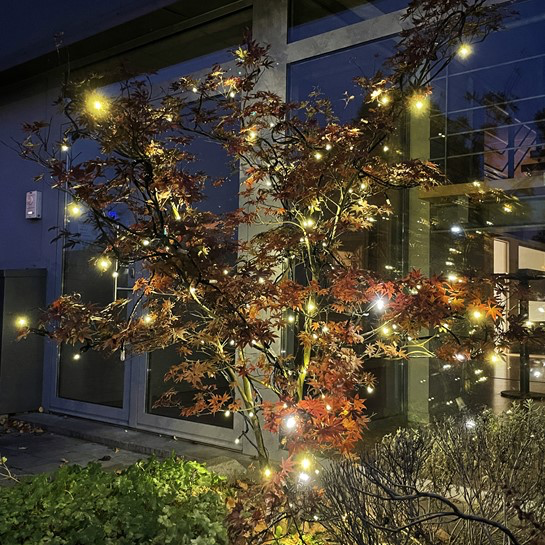 Low-V connect - Strobo lightchain (sans alimentation) - 20 m - 64 leds blanc chaud (16 strobo) - fil noir - 24V