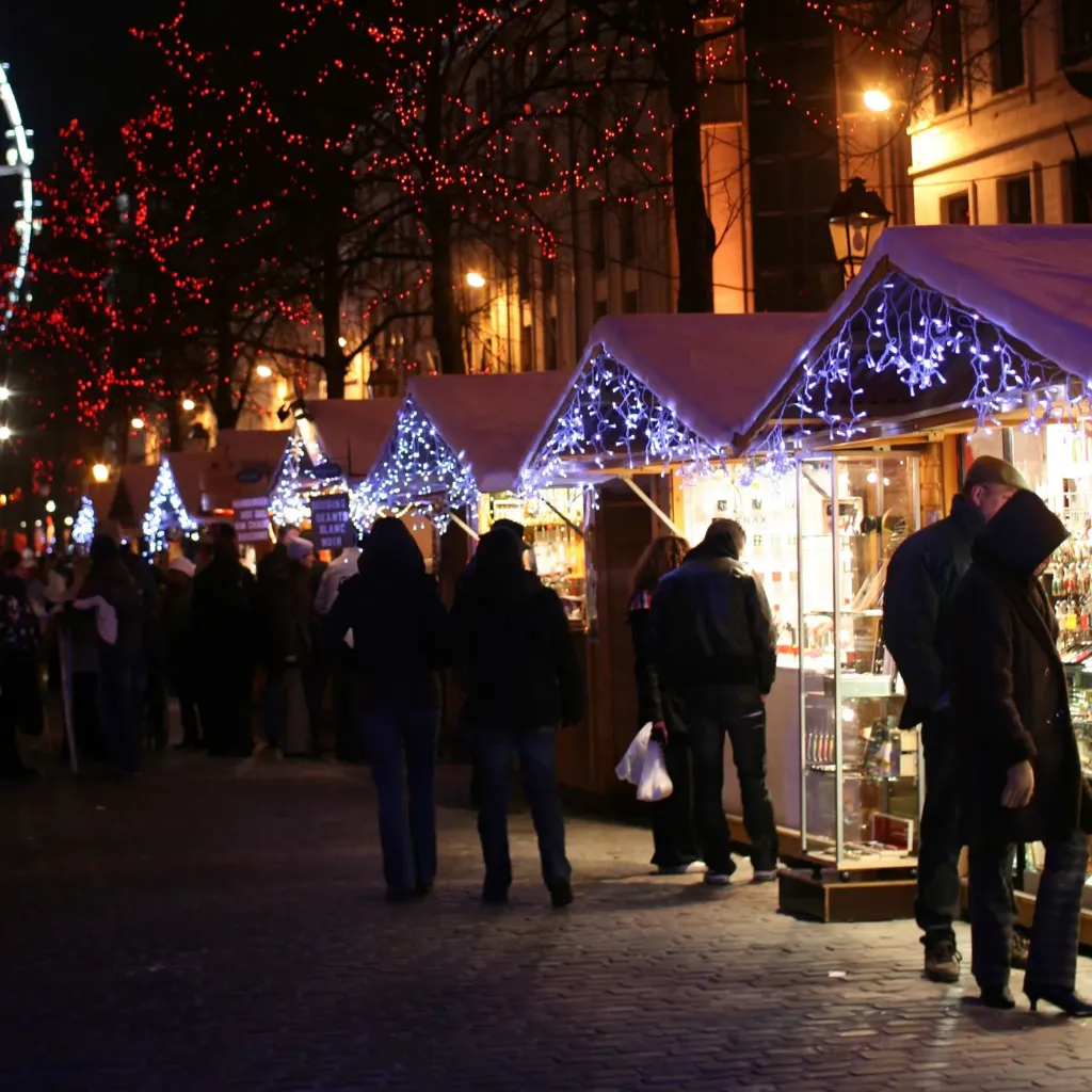 Icicle flash caoutchouc - 3 x 0.7 m - 150 leds blanches Froid (30 flash) - fil blanc - 230V